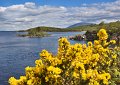 Lough Conn from Pontoon Bridge, Co. Mayo